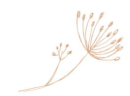 Mantoh Beauty Shop Weight Loss Supplements, Skin Care, and Fragrances